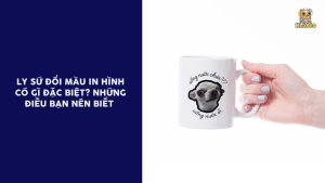 ly đổi màu in hình
