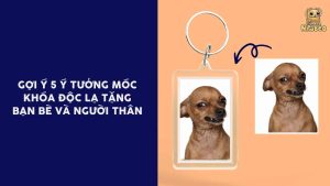 ý tưởng khóc khóa độc lạ