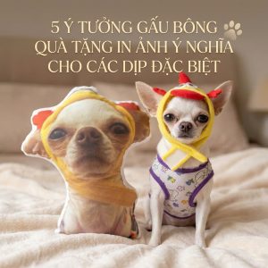 5 ý tưởng gấu bông quà tặng in ảnh ý nghĩa cho các dịp đặc biệt