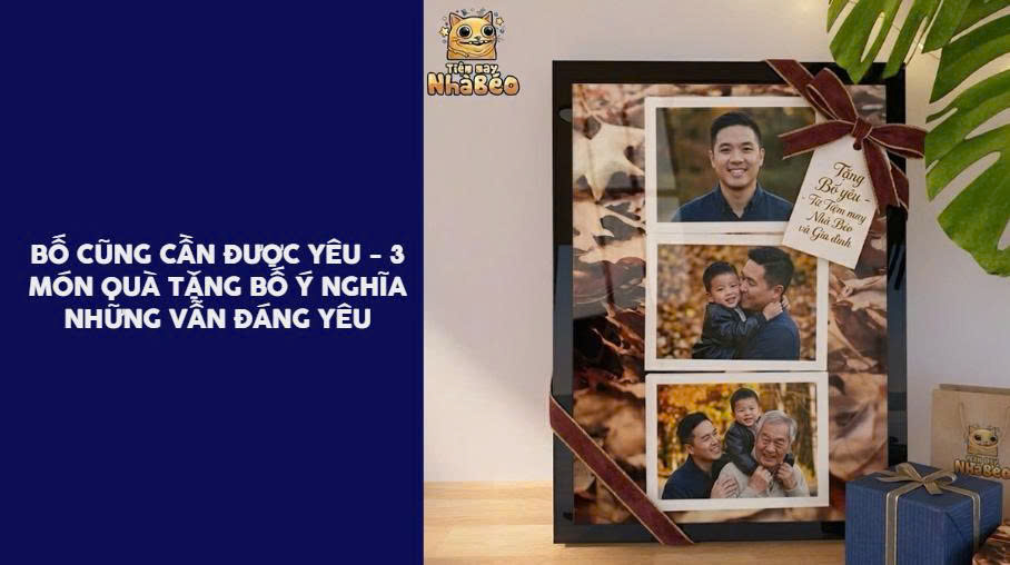 quà tặng bố phù